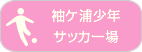 袖ヶ浦少年サッカー場